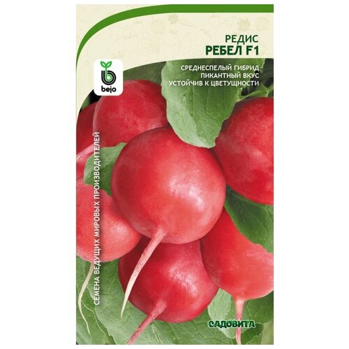 ������ ������ ������ ����� ����� F1 1�� �������� (3 ������) ����