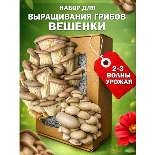 ������ ������ ����� ��� ����������� �������� ������� ��������, � �������� ������, ���������� � ���������� ����