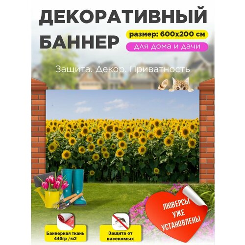 ������ ������ ��������� ������ �� ����� � ��������� 600�200 �� ����