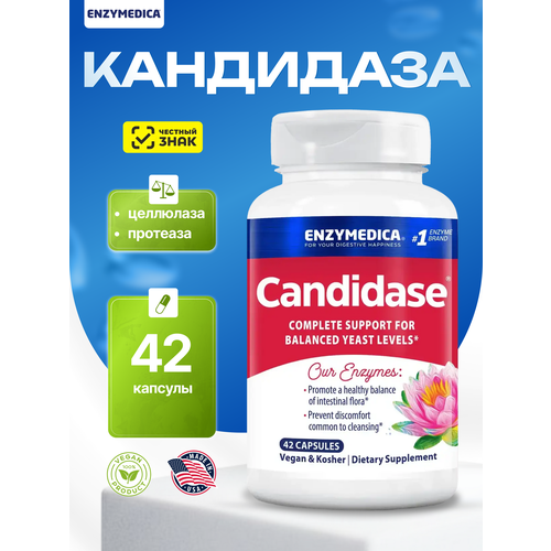 ������ ������ ������� ��������, Enzymedica Candidase 42 ������� ����