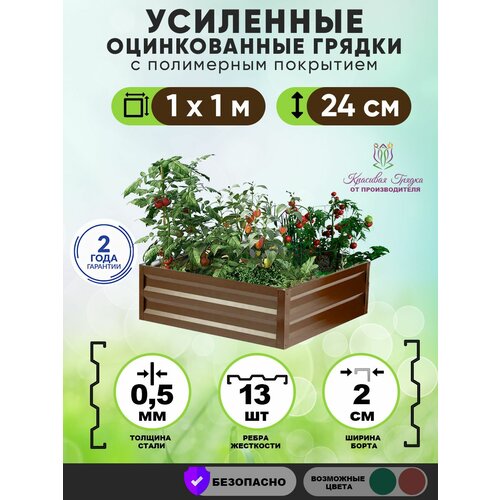 ������ ������ ������ ������������ �� ���� � ���������� ��������� ��������� 1�1 ���� / ���������� ������������� ��� �������� � ������� � �������� ����� / ������ ��� ���� � ������� ������ ����� 24 �� ����