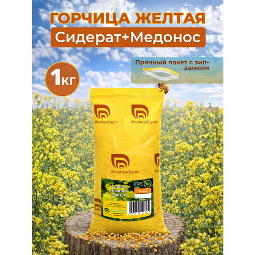 ������ ������ ������ ������ ������� ������������ 1�� ������� � ������� ���������� ����