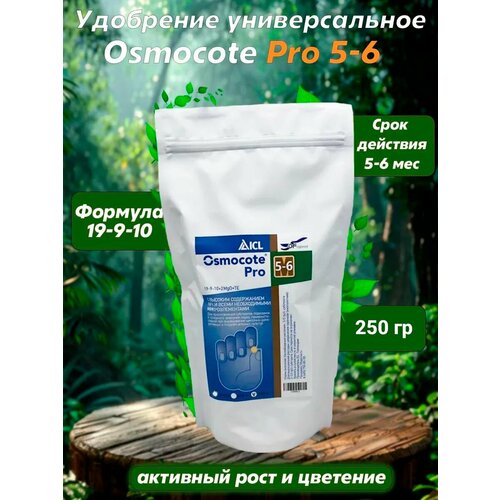 ������ ������ ��������� (Osmocote) ������� ��� (19-09-10+��) 5-6 ��� 250 ��. ����