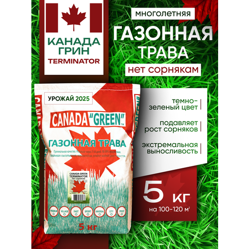 ������ ������ �������� ����� ������ ������ ���� ��� �������� 5�� / Canada Green Terminator 5�� ����