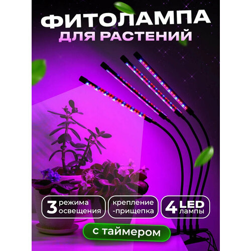 ������ ������ ��������� 