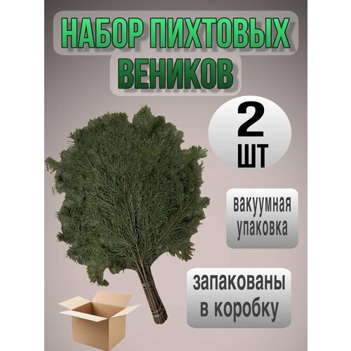 ������ ������ ����� �������� ������� 2 ����� ����