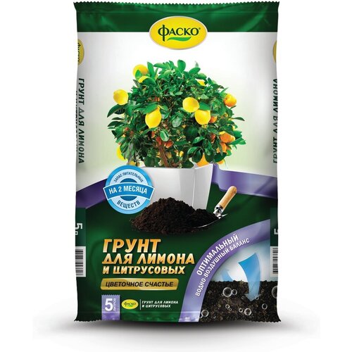 ������ ������ ����� ��� ������ � ���������� ����� ��������� �������, 5 � ����