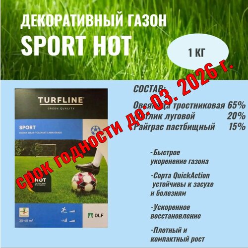 ������ ������ ������ �������� ����� DLF Sport Hot (���������������� ���������� �����) 1�� ����