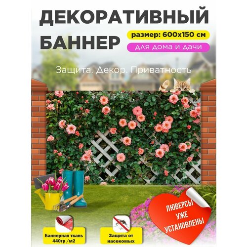 ������ ������ ������������ ����� ������ ��������� 600 �� � 150 �� � ��������� ����