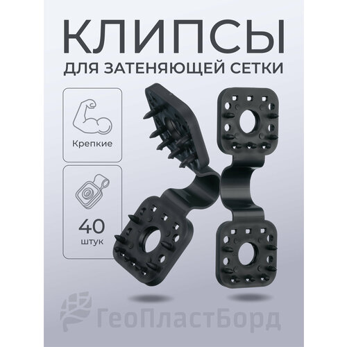 ������ ������ ������ ��� ����� ���������� ������� 40 ���� ����������� ������ ����