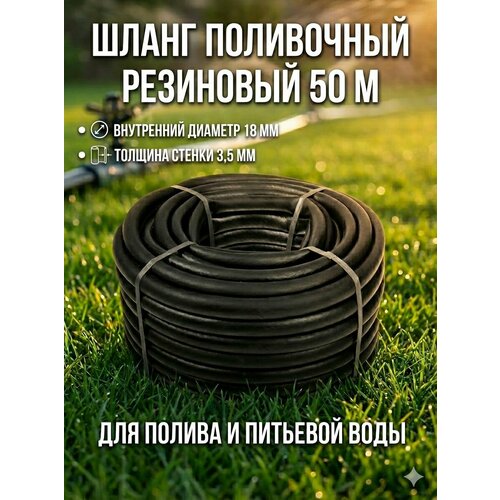 ������ ������ ����� ���������� ��������� 18 �� 50 ������ �������� �� 10 ���, ����� ������� ��� ������, �������� ����, ������������ ��� ����� �������� �������� ����