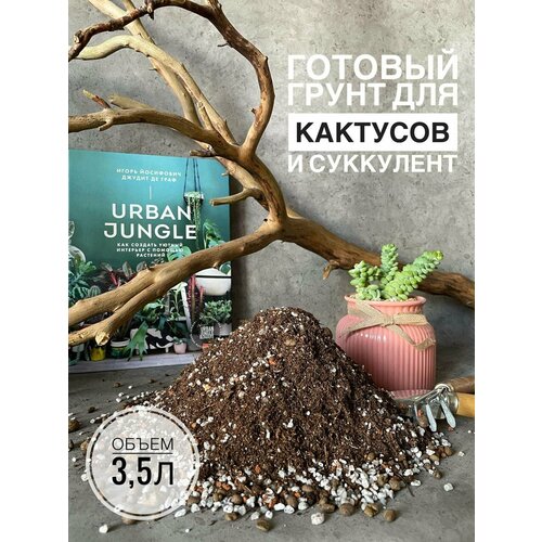 ������ ������ ������� ����� ��� ����������� � �������� 3,5 �����, Terracotta Plants � �������� ����