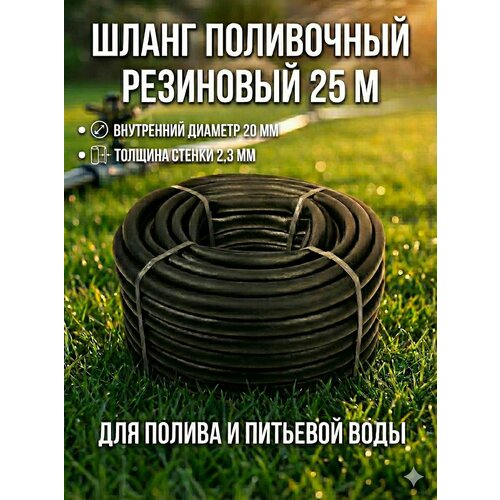 ������ ������ ����� ���������� ��������� 20 �� 25 ������ �������� �� 4 ���, ����� ������� ��� ������, �������� ����, ������������ ��� ����� �������� �������� ����