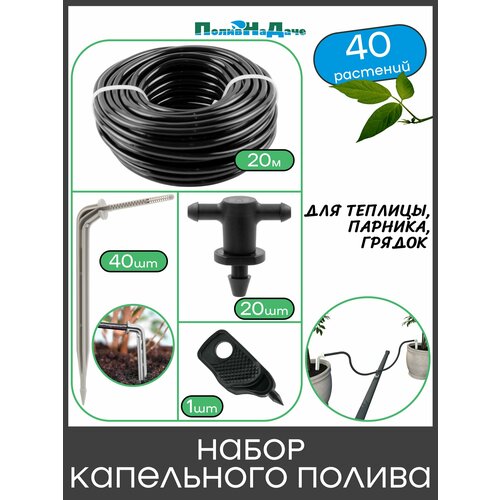 ������ ������ ����� ���������� ������ �� 40 �������� ��� �������, �������, ������ ����