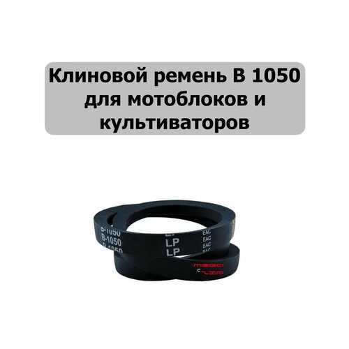 ������ ������ �������� ������ B 1050, ��� ���������� � ������������� ����