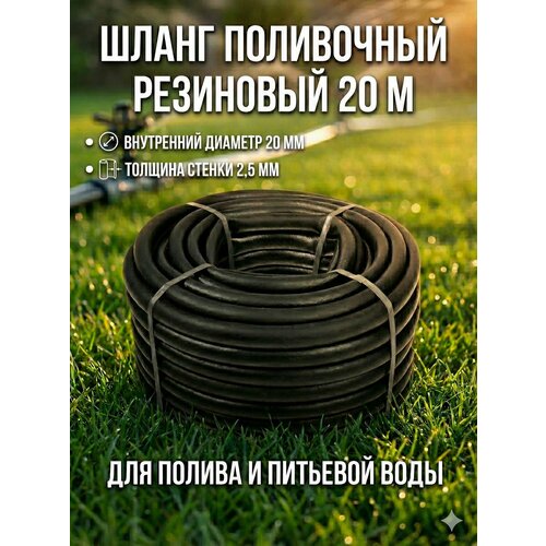 ������ ������ ����� ���������� ��������� 20 �� 20 ������ �������� �� 4 ���, ����� ������� ��� ������, �������� ����, ������������ ��� ����� �������� �������� ����