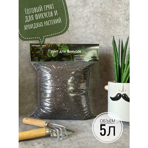 ������ ������ ������� ����� ��� ������� � �������� �������� Terracotta Plants, 5 ������ ����