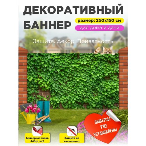 ������ ������ ��������� ������ �� ����� � ��������� 250�150 �� ����