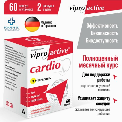 ������ ������ ���������� ������ - ��� ��� ������ � ������� � ������������� � �����������, 60 ������ ����