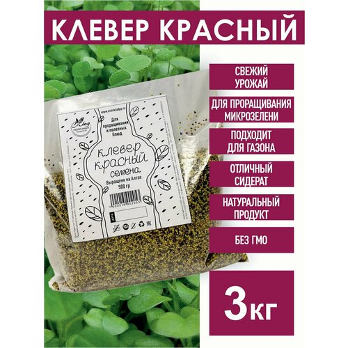 ������ ������ ������ ������� ������ ��� ������������, 3 ��. ����