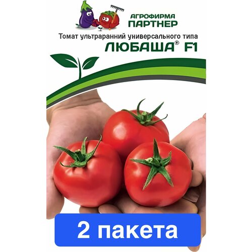 ������ ������ ������ ������ ��������� ������� 