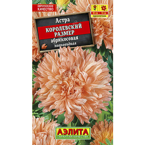 ������ ������ ������ ����� ����������� ������ ����������� ����������� 0.1� ��� 90�� (������) ����