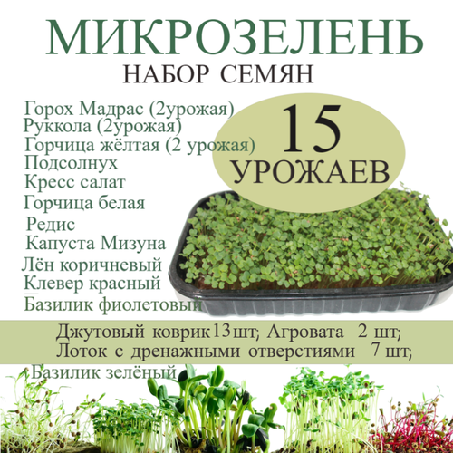 ������ ������ ����� ��� ����������� ����������� 