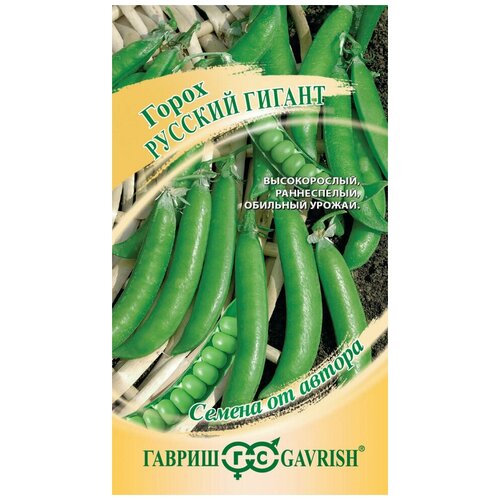 ������ ������ ������. ����� 