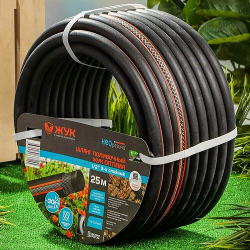 ������ ������ ����� ���������� ��� ������ 1/2