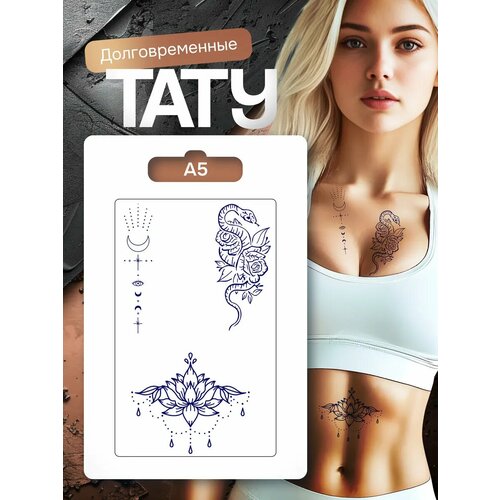 ������ ������ ���� ���������� �������������� �������� ����