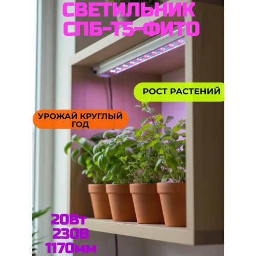 ������ ������ ���������� ������������ ���-�5-���� 20�� 230B 1170�� IN HOME ����