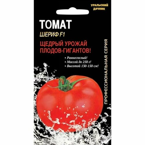 ������ ������ ������ ����� ����� F1 (�����������), �����������, ���� 12�� ����