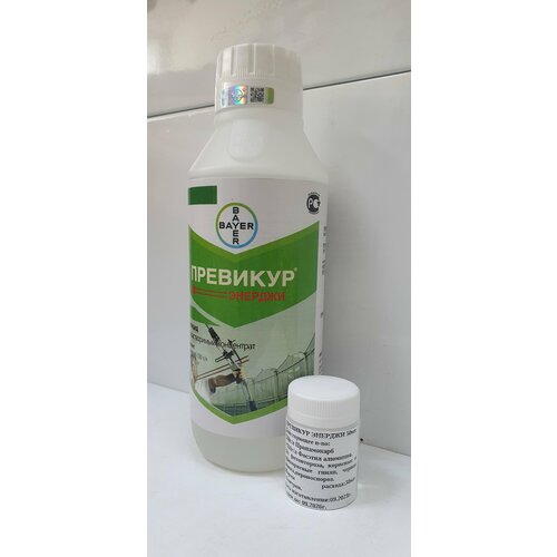 ������ ������ �������� ������� 50�� (������ �������) ����