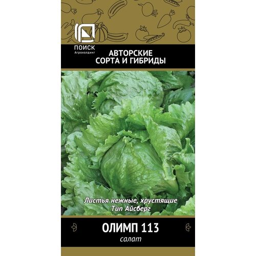 ������ ������ ������ ����� ����� 113 �������� 1� (�����) ����� ����