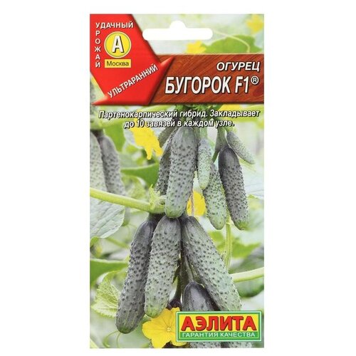 ������ ������ ������ ��������� ������ ������ ������� F1, 10 �� ����