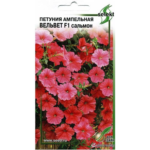 ������ ������ ������� ��������� F1 ������� �������, 10 ����� ����