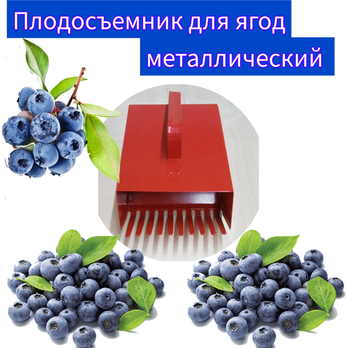 ������ ������ ������� ������������� ��� ����� ���� ������� /�������� ����