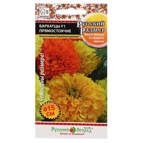 ������ ������ ������ ������ �������� ������������, F1, ����� ������� ������, �����, 7 �� ����