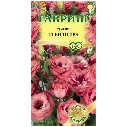 ������ ������ ������. ������� ��������������� 