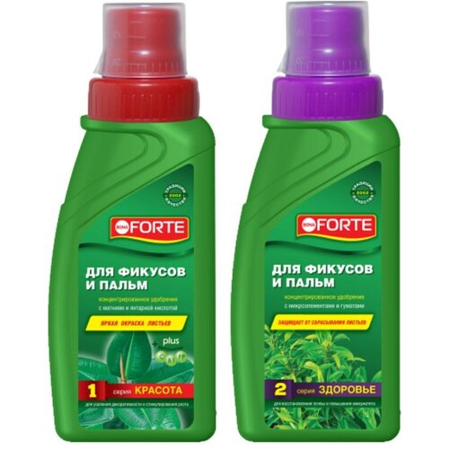 ������ ������ ����� ������ ��������� Bona Forte ��� ������� � ����� ������� 285��+�������� 285�� ����