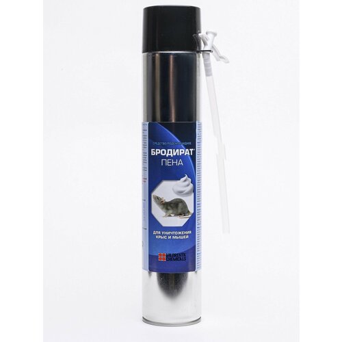 ������ ������ �������� ���� �� ����� � ���� 750 � ����