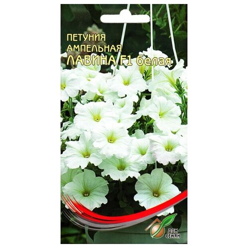 ������ ������ ������� ��������� F1 ������ �����, 20 ����� ����