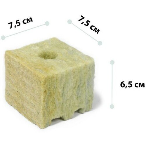 ������ ������ �������� ������� ����������� ���� � ���� ��� ������� ��������, ��������� 20 ? 15 ��, 7.5 ? 7.5 ? 6.5 �� ����