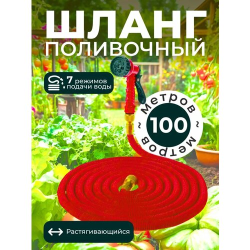 ������ ������ ����� ������� ���������� ��������������� ����