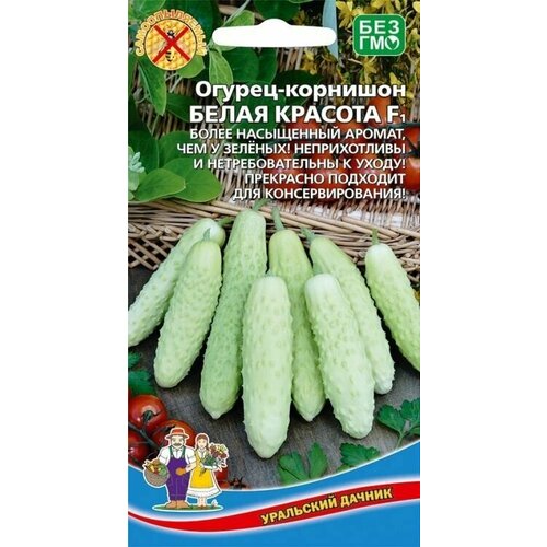 ������ ������ ������ �������� ����� ������� F1, 10 �������, ��������� ������ ����