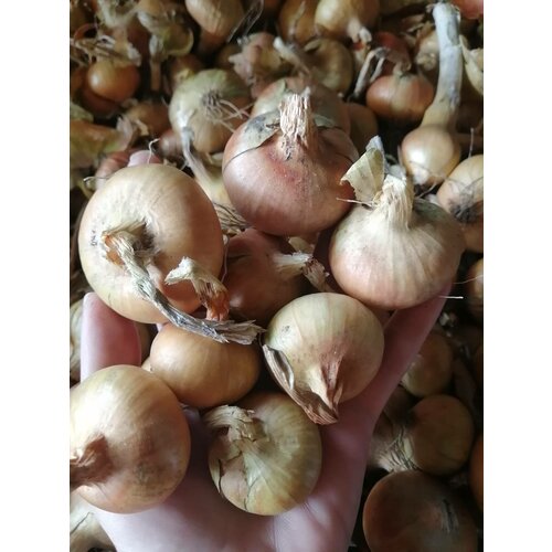 ������ ������ ��� �������� ������/�������� 500��. ����