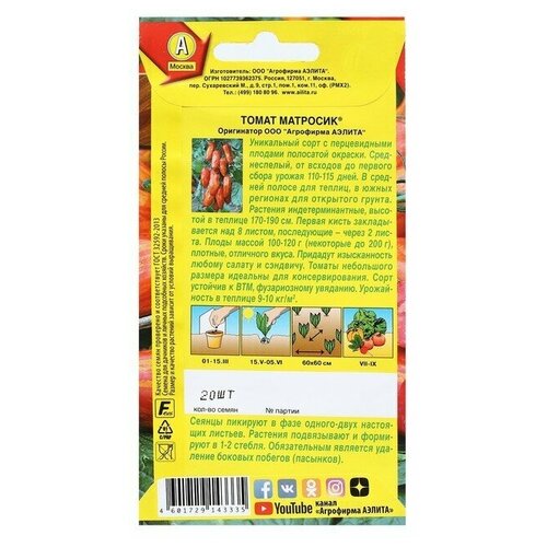 ������ ������ ������ ����� �������� 20�� ����� (������) ����