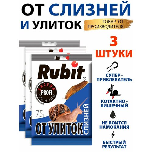 ������ ������ �������� ������ �������� �� ������ � ������� 3 � 75� ����