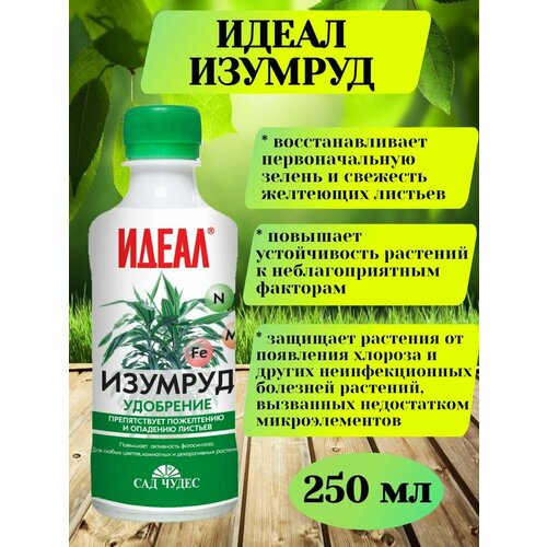 ������ ������ ��������� ������ ����� ������� �� ����������, 250 �� ����