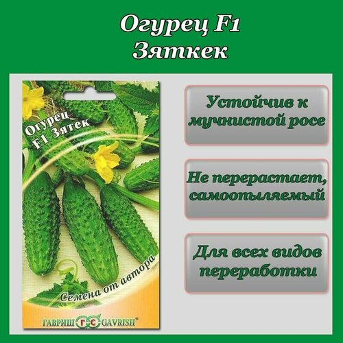 ������ ������ ������ ����� F1 1(1 ��������-10�� �����) ����